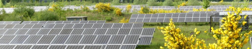 Zonnepark en bloeiende brem