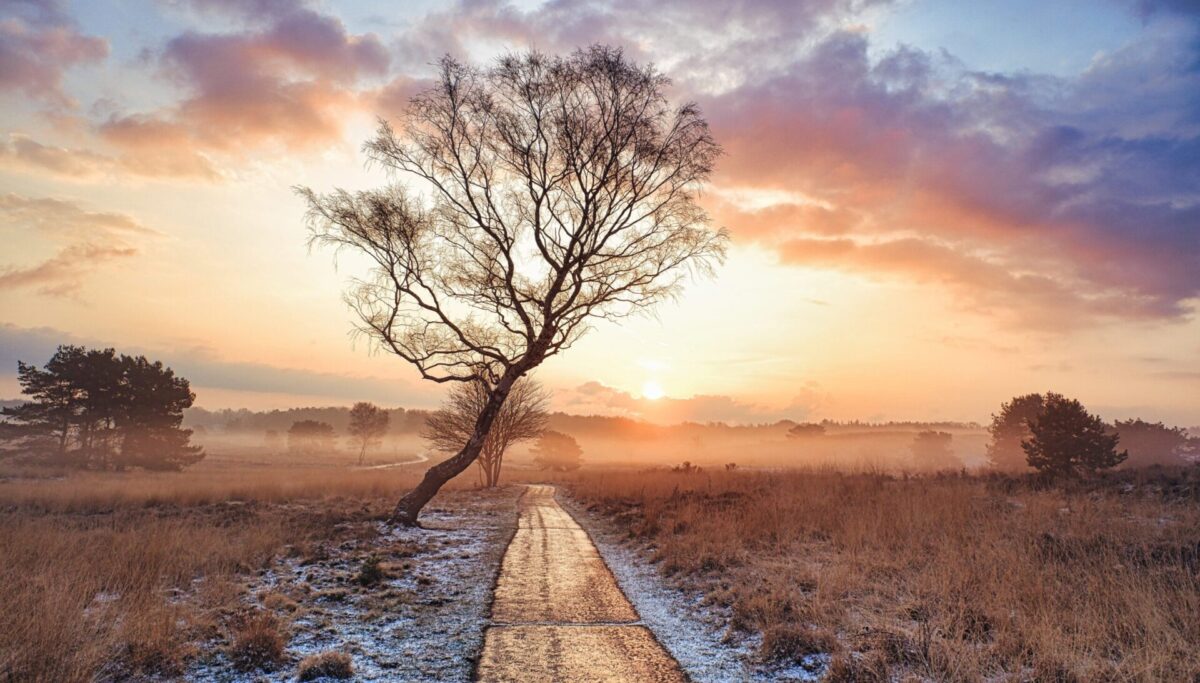 Landschap en ruimte in Gelderland 2071