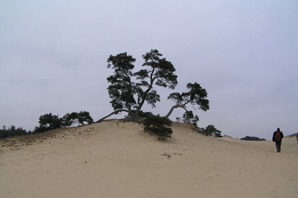 Randvoorwaarden uitbreiding Defensie