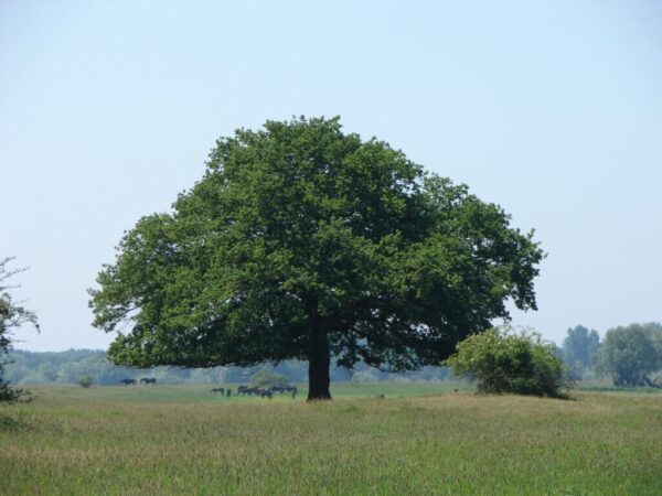 Onderhoudende thema-avond over landschap