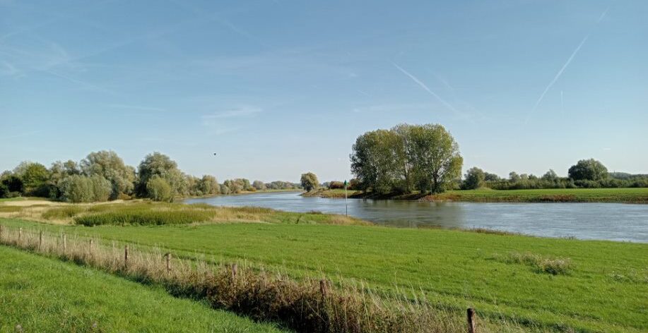 Zienswijze waterbeheerprogramma Rijn en IJssel