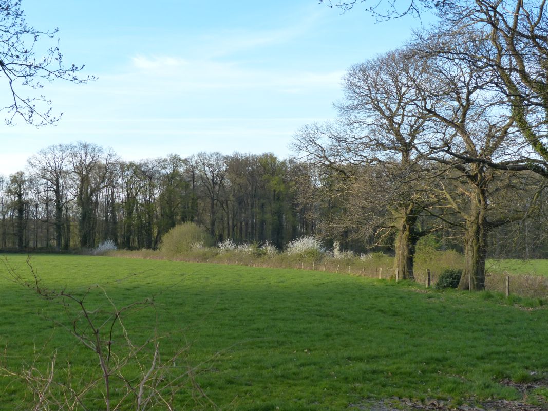 Vitaal Landelijk Gebied Gelderland (VLGG)