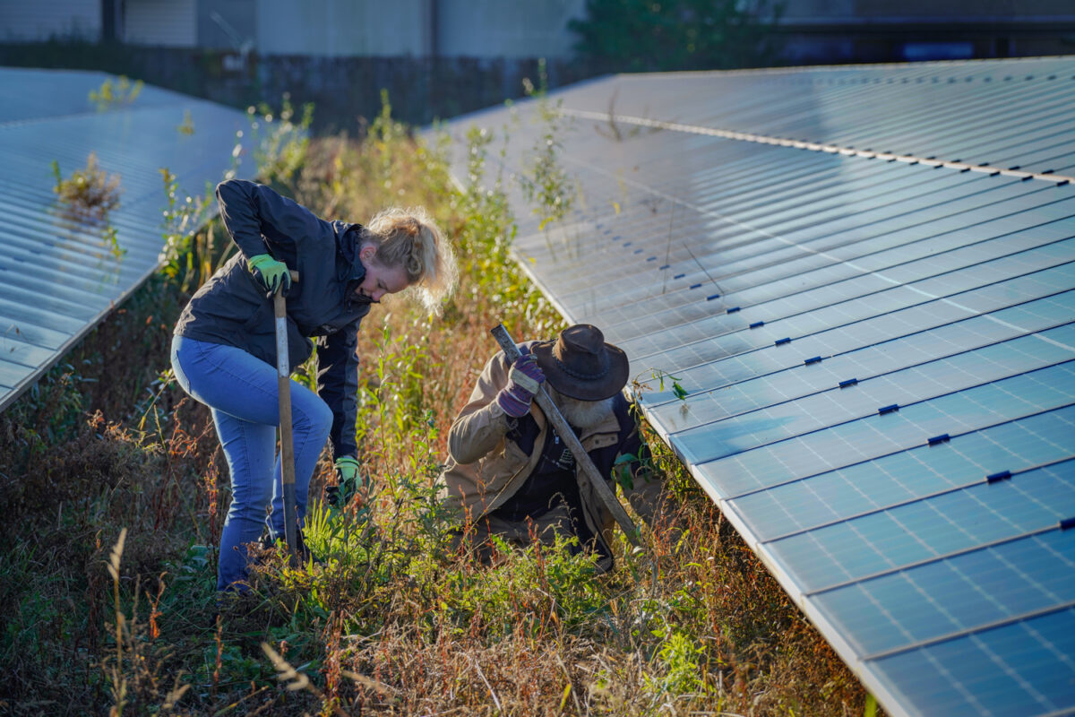 Energiecoöperaties oproep aan politiek