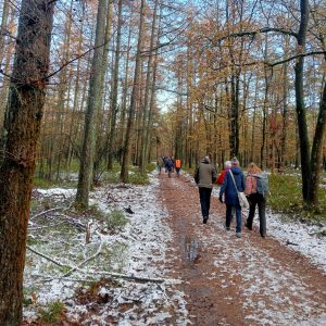Wandeling in winters bos