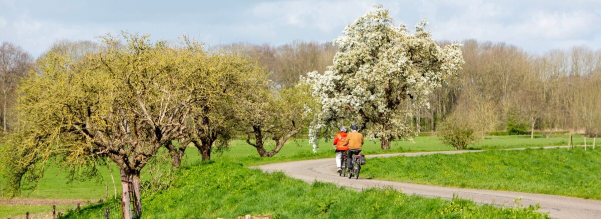 Documentatie Werksessie Omgevingswet voor lidorganisaties