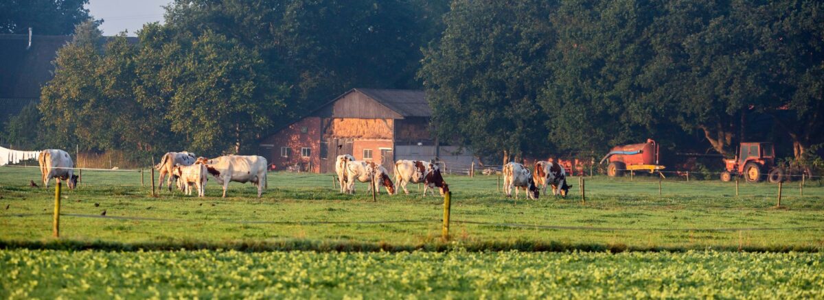 Stikstof, natuur en VLGG