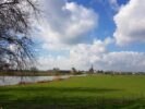 VLGG: minder geld, hoe verder?