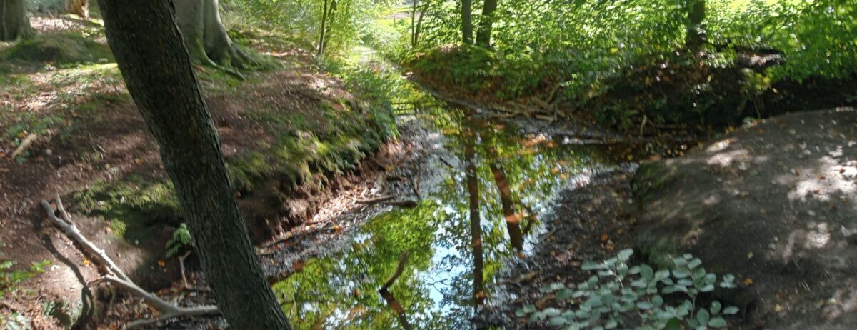 Reactie op Gelders Programma Water