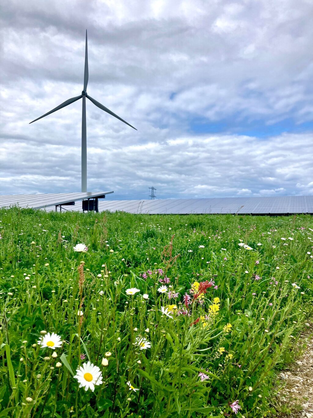 Windparken en natuur