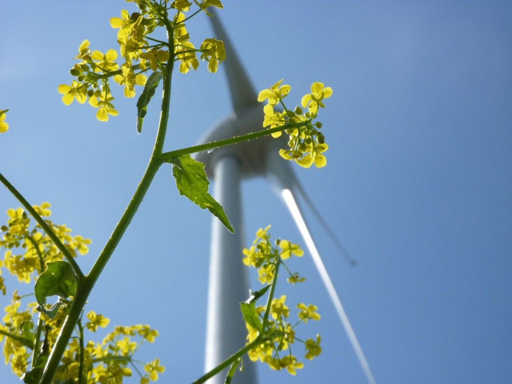 Kabinet vertraagt duurzame energieprojecten