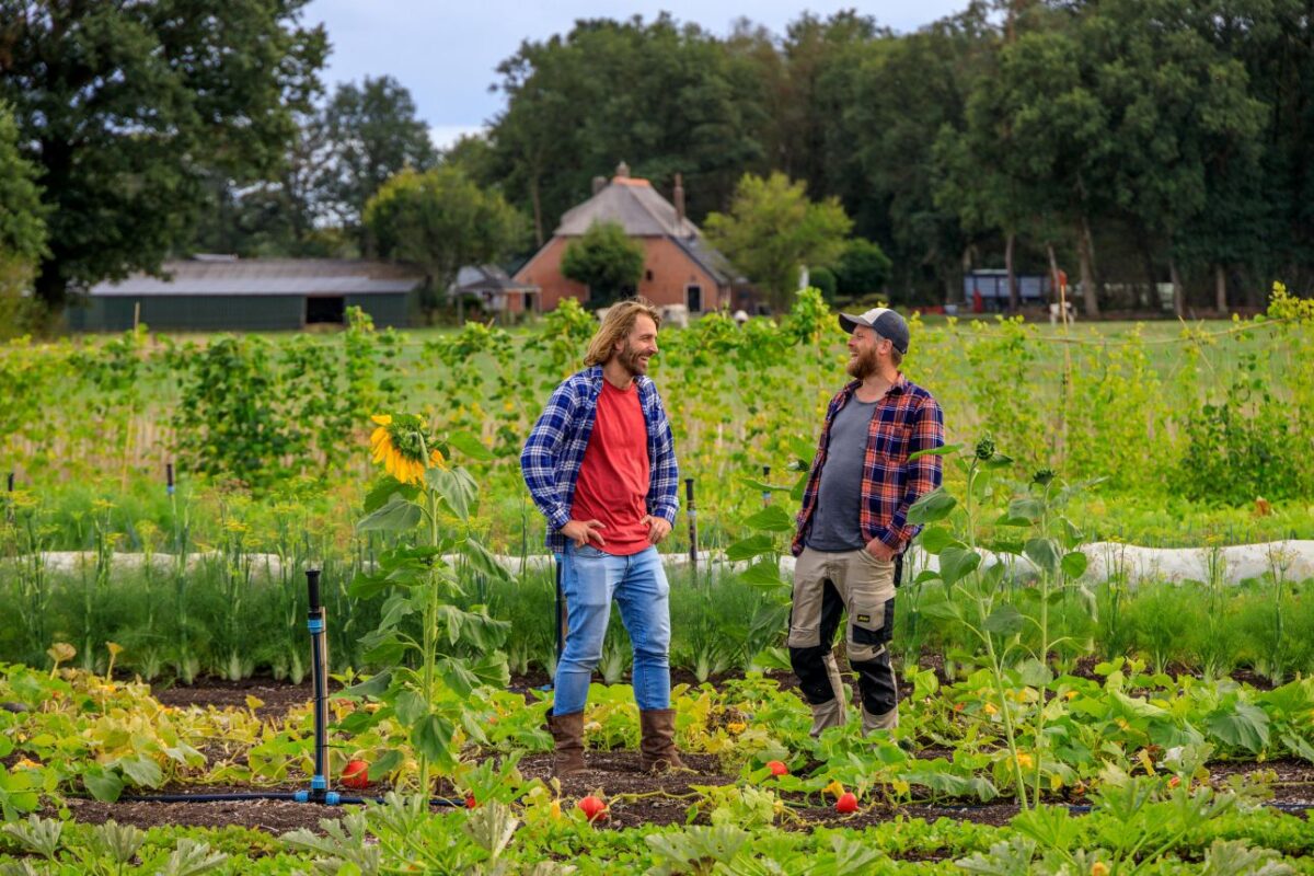 Groene boeren Gelderland