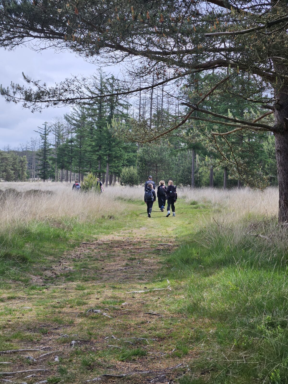 Luisteren naar de Veluwe: in gesprek met jongeren, bestuurders en beleidsmakers