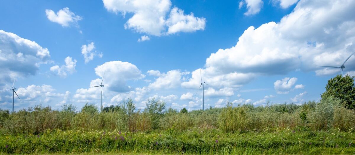 Windpark Deil