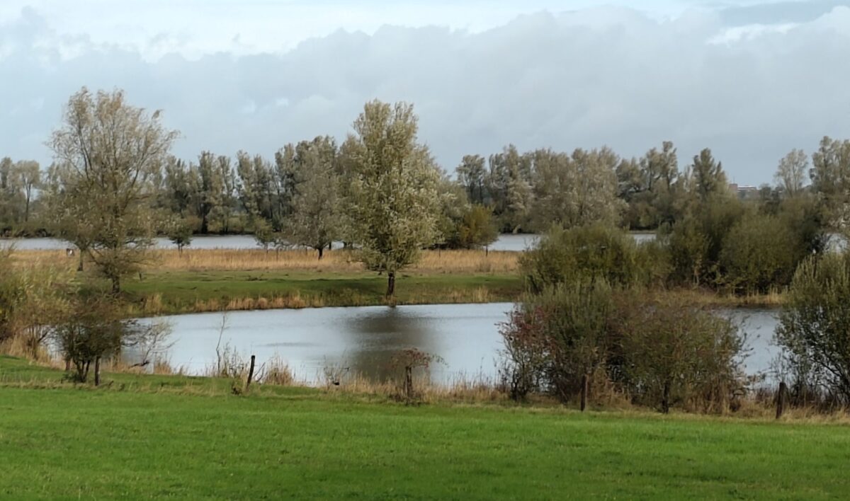 Vervolg vernieuwing Gelderse omgevingsvisie