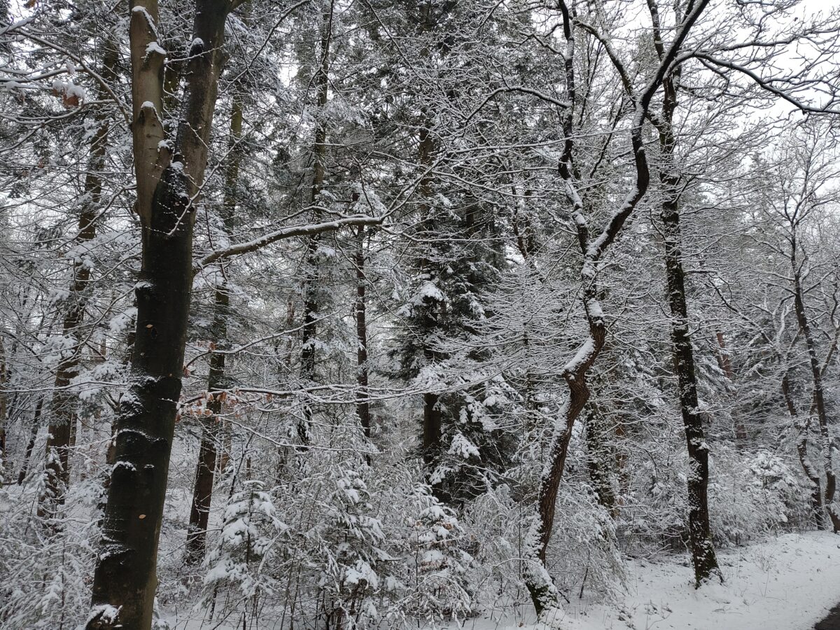 Reactie op regeerakkoord